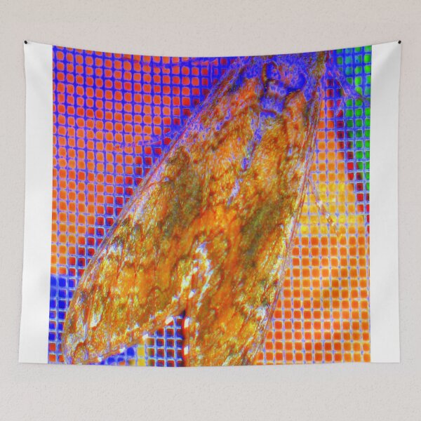 Item preview, Moth on screen designed and sold by B. Randi Bailey.