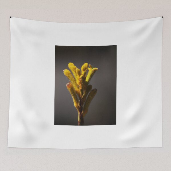 Item preview, kangaroo paw designed and sold by Tom McDonnell.