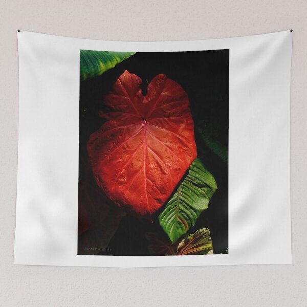 Aperçu de l'œuvre Red Elephant Ear Leaf créée et vendue par Jordan Miscamble.