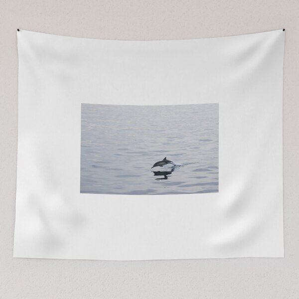 Item preview, Dolphin designed and sold by Diego Re.