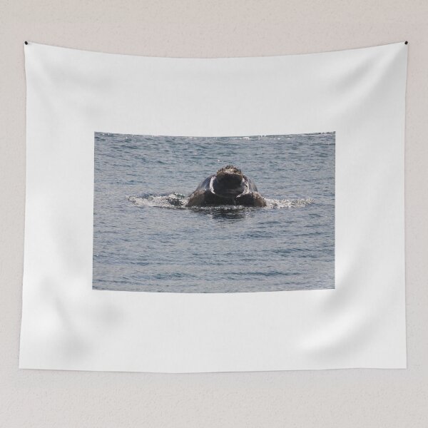 Item preview, Victor Harbor Southern Right Whales Pt.6 designed and sold by Stuart Daddow Photography.