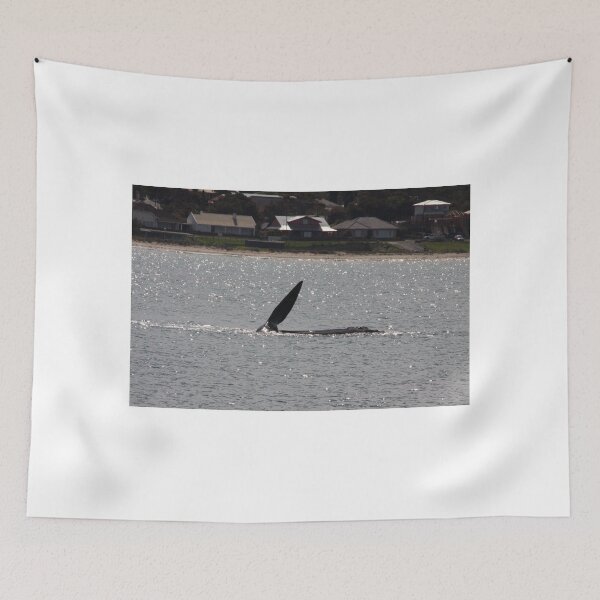 Item preview, Victor Harbor Southern Right Whales Pt.3 designed and sold by Stuart Daddow Photography.