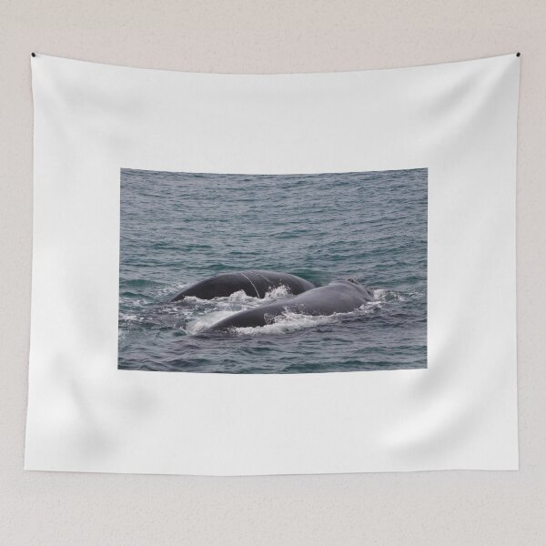 Item preview, Victor Harbor Southern Right Whales Pt.7 designed and sold by Stuart Daddow Photography.