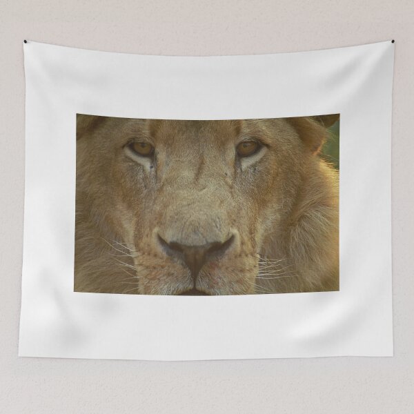 Item preview, Lion portrait up close designed and sold by GrahamCSmith.