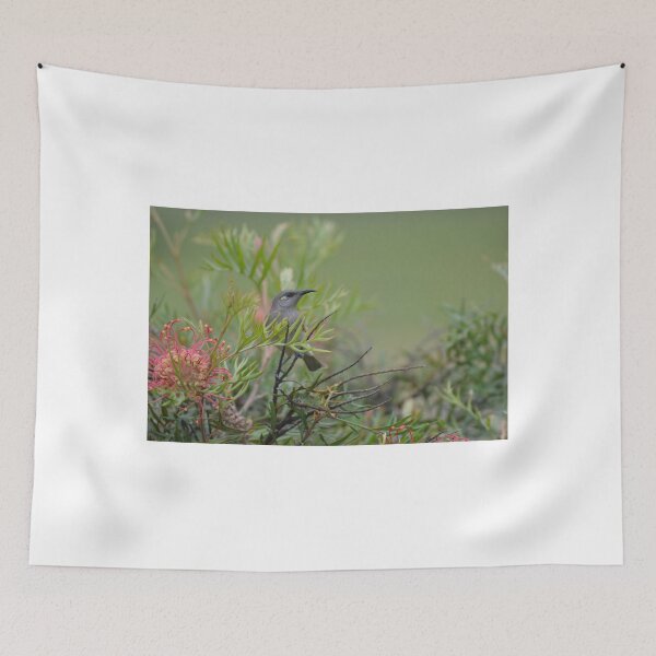 Item preview, Brown Honeyeater designed and sold by TheaShutterbug.