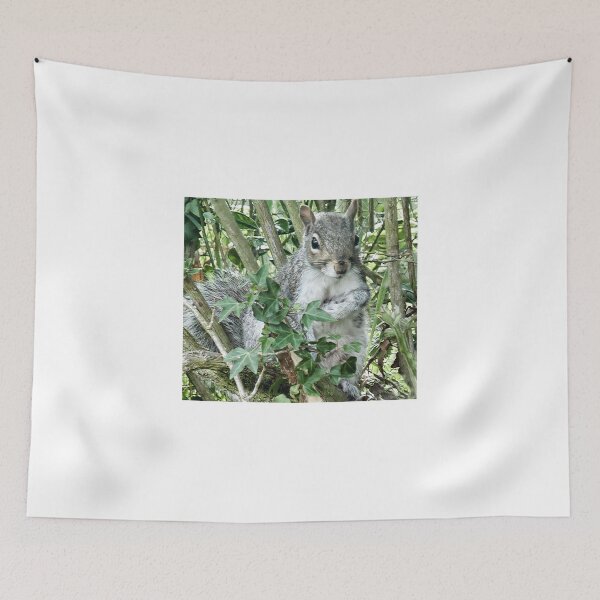 Item preview, A Squirrel's Version Of Hide N Seek designed and sold by lynn carter.