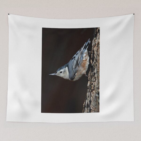 Item preview, White-Breasted Nuthatch designed and sold by James Cumming.