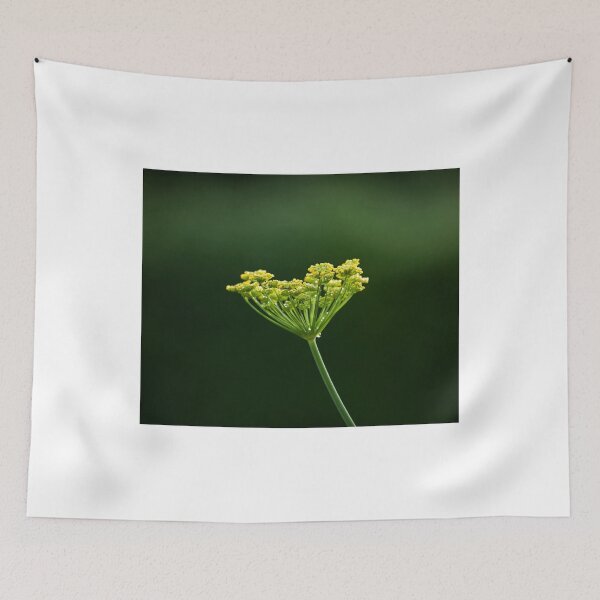 Item preview, Fennel flower head designed and sold by Sue Robinson.