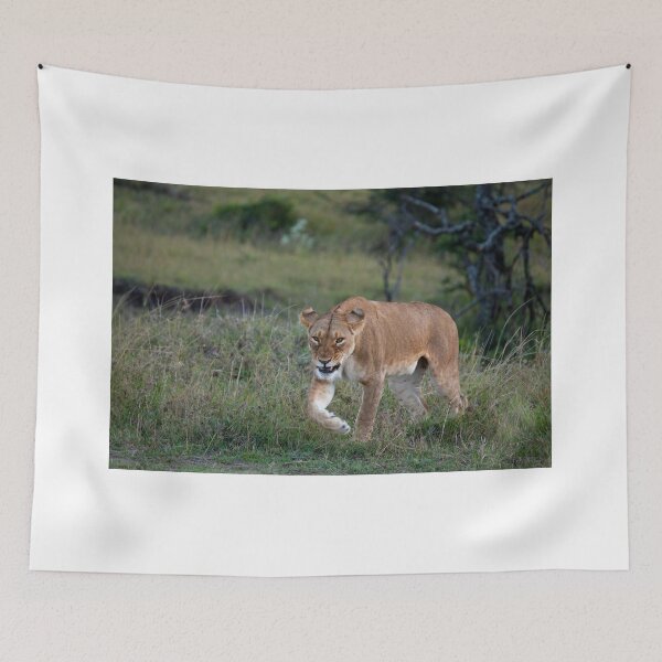 Item preview, Lioness on the Masai Mara designed and sold by Sue Robinson.