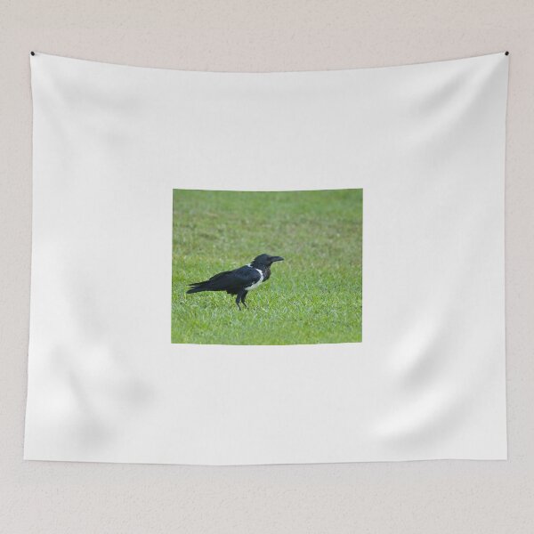 Aperçu de l'œuvre Pied Crow créée et vendue par Sue Robinson.
