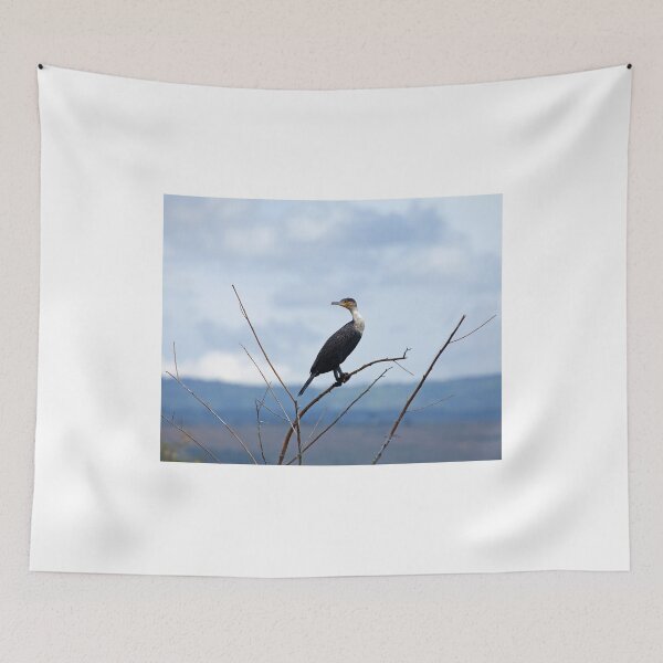 Item preview, Great Cormorant designed and sold by Sue Robinson.