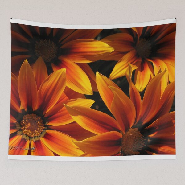 Item preview, Gazania named Kiss Orange Flame designed and sold by JMcCombie.