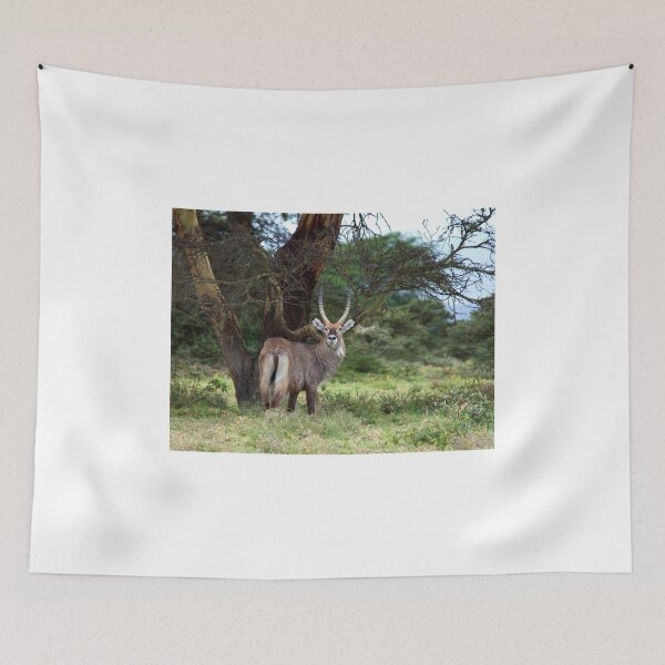 Item preview, Defassa Waterbuck designed and sold by Sue Robinson.