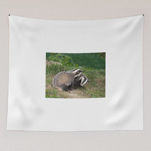 Artikelvorschau, Badger Cubs spielen entworfen und verkauft von Sue Robinson.