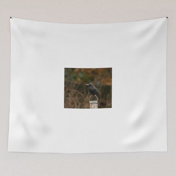 Item preview, Common Starling designed and sold by Sue Robinson.