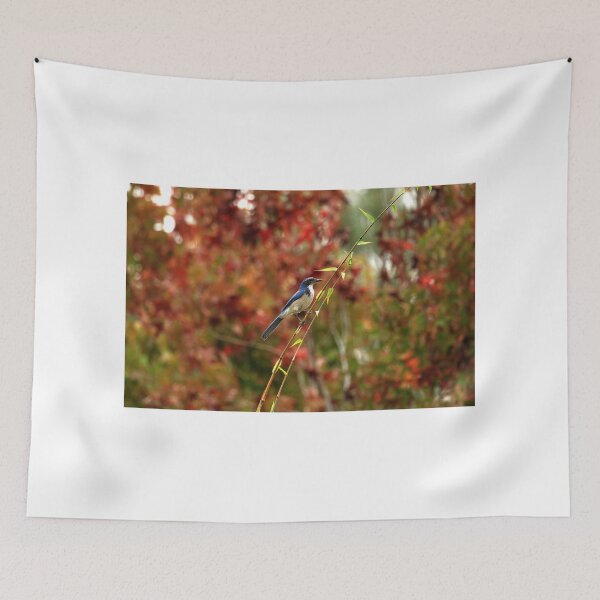 Aperçu de l'œuvre Blue Bird Enjoying Fall Color créée et vendue par PsychoAlien.com.