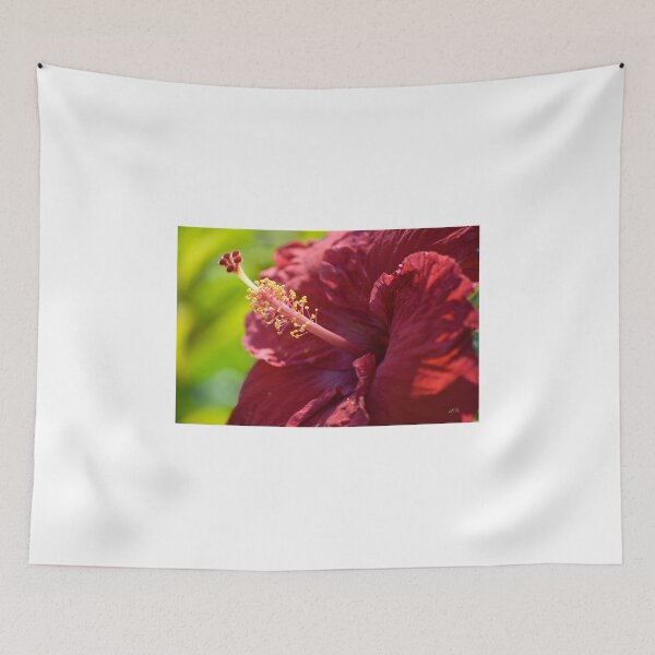 Item preview, Red Hibiscus designed and sold by Diego Re.
