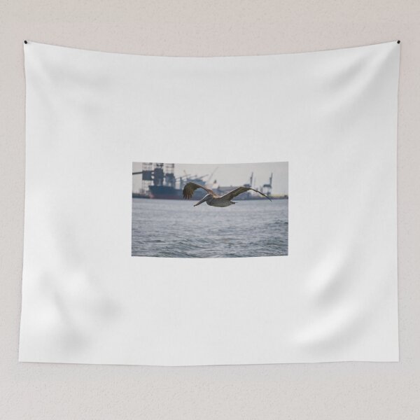 Item preview, Gliding Pelican designed and sold by Diego Re.