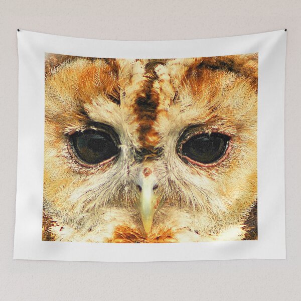 Item preview, Tawny Owl - Up close and personal designed and sold by Anthony Hedger Photography.