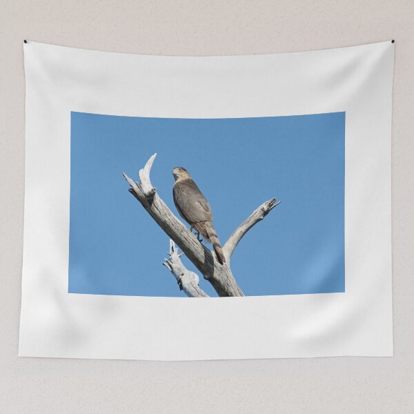 Item preview, on the lookout designed and sold by kathy s gillentine.