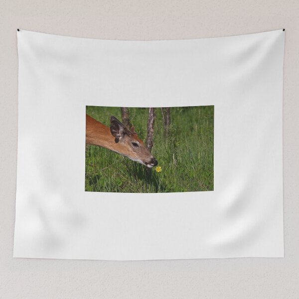 Item preview, Spring is here! White-tailed deer designed and sold by James Cumming.