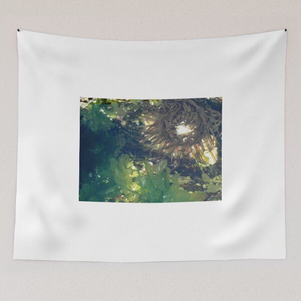 Item preview, Underwater Garden, Wollongong, NSW, Australia. designed and sold by kaysharp.