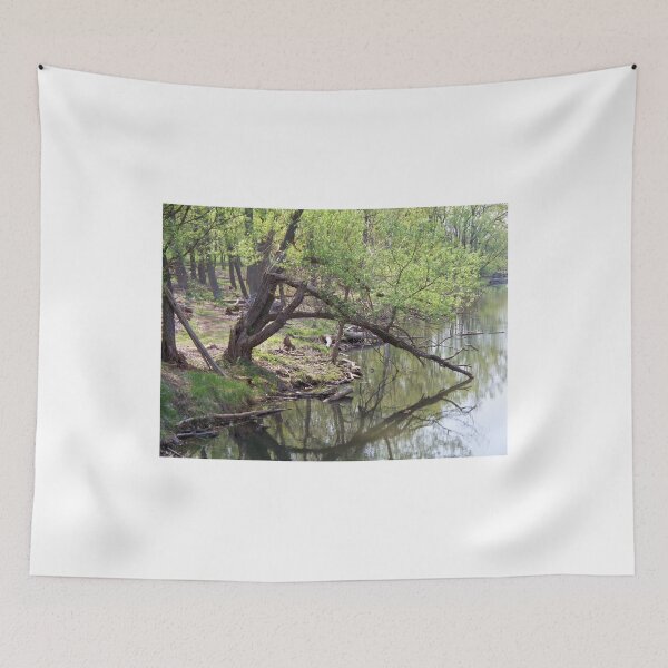 Item preview, Still Waters designed and sold by Lorelle Gromus.