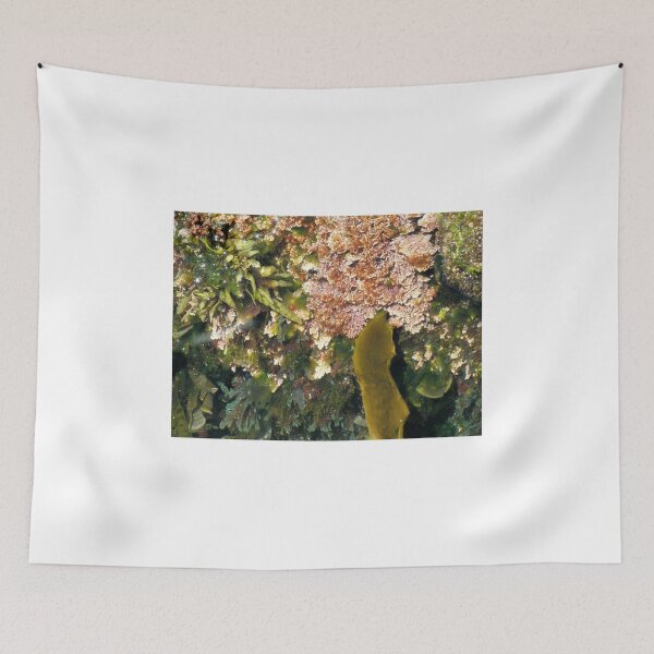 Item preview, Rock Pool, Wollongong, NSW, Australia. designed and sold by kaysharp.