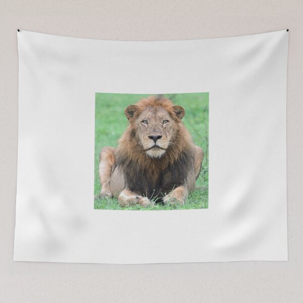 Item preview, I am a large dominant member of the Majingilane coalition! designed and sold by Anthony Goldman.