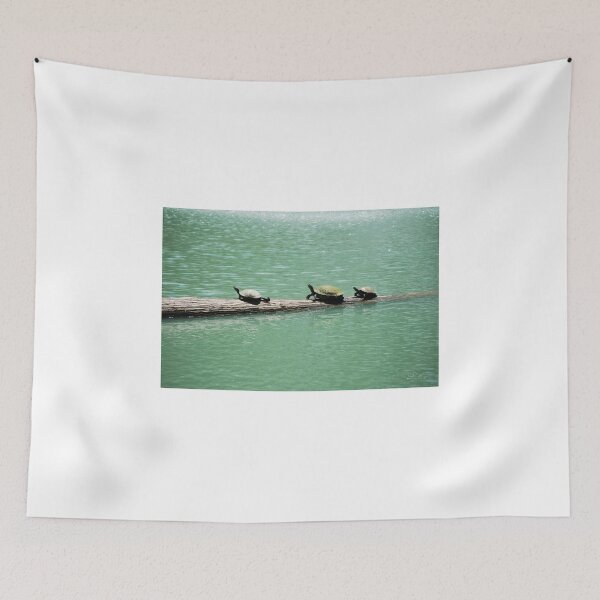 Item preview, Three Turtles In The Sun designed and sold by Diego Re.