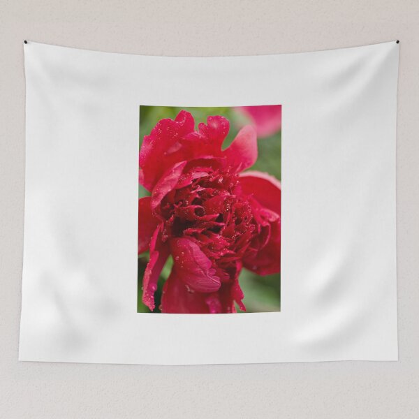 Item preview, Into the Red! designed and sold by Tracey  Dryka.