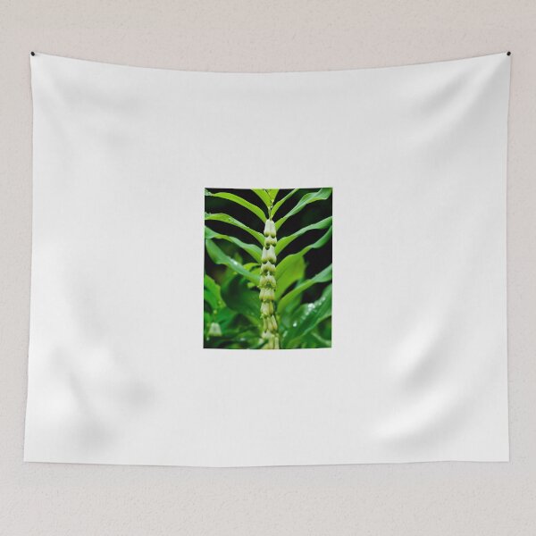 Item preview, Solomon's seal pattern, County Kilkenny, Ireland designed and sold by AndrewJonesFoto.