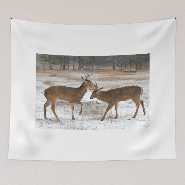 Item preview, Battle of the Big Bucks - White-tailed deer designed and sold by James Cumming.