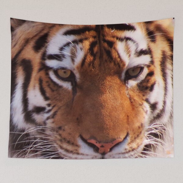 Item preview, Amur Tiger designed and sold by shutterbug2010.