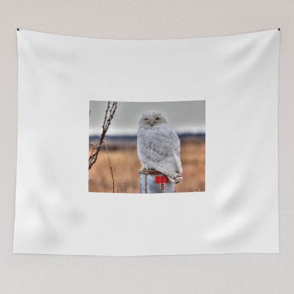 Item preview, BIG SNOWY  designed and sold by Larry Trupp.