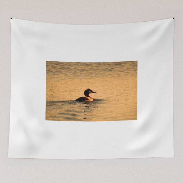Item preview, Great Crested Grebe in Golden Glow designed and sold by Jo Nijenhuis.