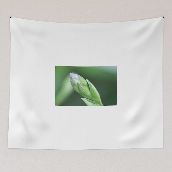 Item preview, Budding Hosta designed and sold by Lorelle Gromus.