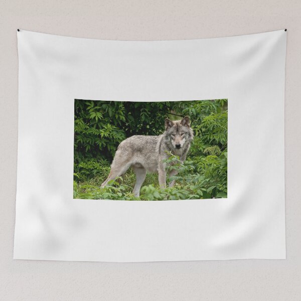 Item preview, Enchanted Forest designed and sold by Tracey  Dryka.