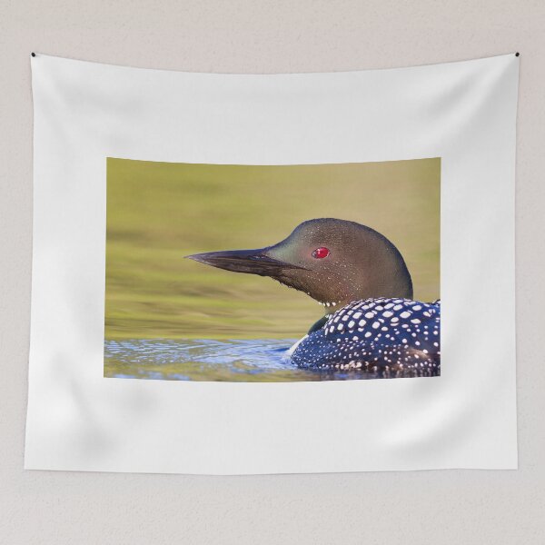 Item preview, Closeup Common Loon designed and sold by James Cumming.