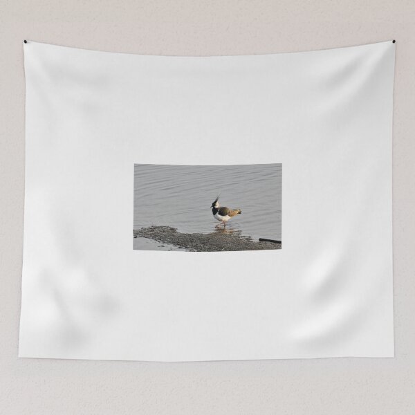 Item preview, Lapwing (Vanellus vanellus) - Woolston Eyes designed and sold by Chris Monks.
