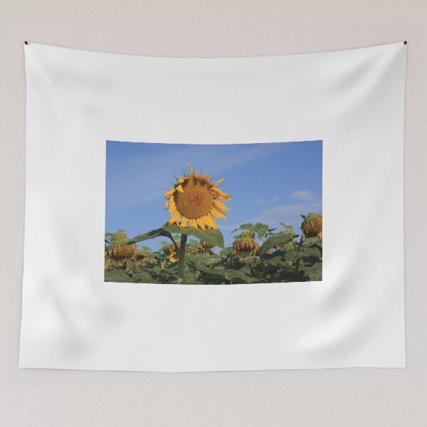 Item preview, Colorful Kansas Sunflower in a field designed and sold by ROBERTDBROZEK.