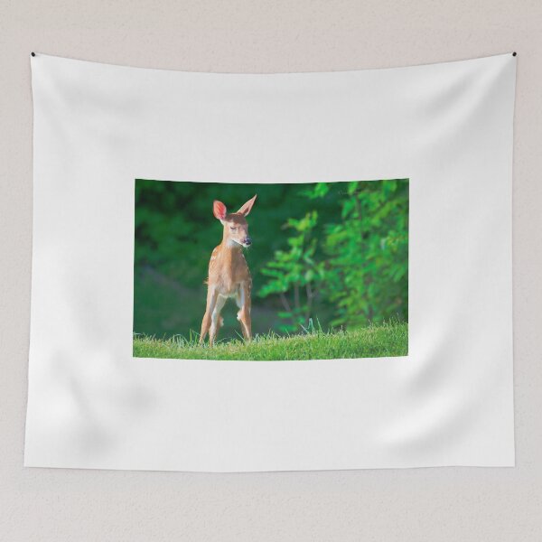 Item preview, Pretty Fawn (White Tailed Deer) designed and sold by Yannik Hay.