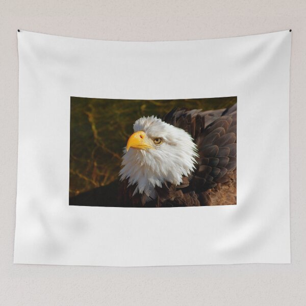 Item preview, Bald Eagle in Splendor designed and sold by pcfyi.