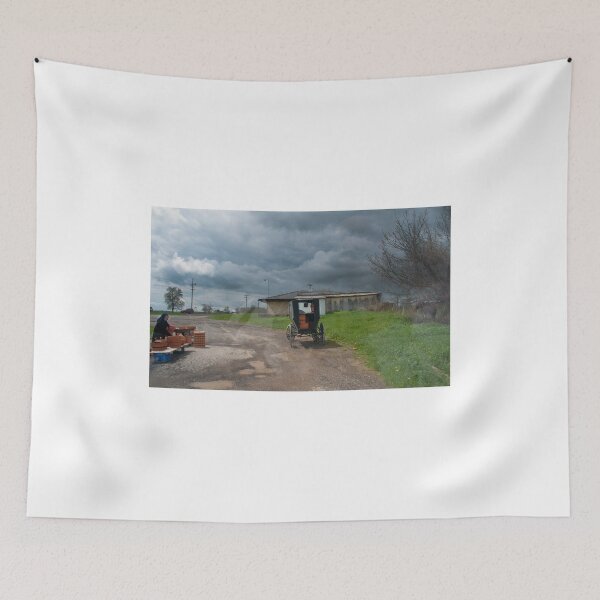 Item preview, Amish Lady selling baskets.  designed and sold by Billlee.