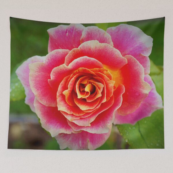 Item preview, Rosy toned blends designed and sold by B. Randi Bailey.