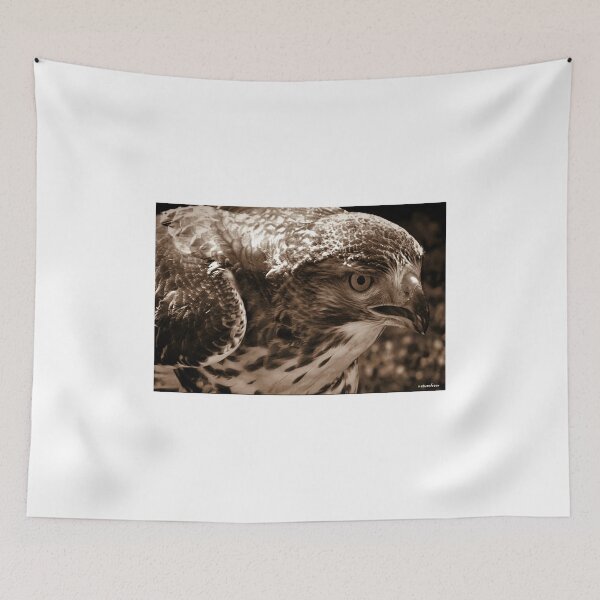 Item preview, Red-Tailed Kite designed and sold by naturelover.