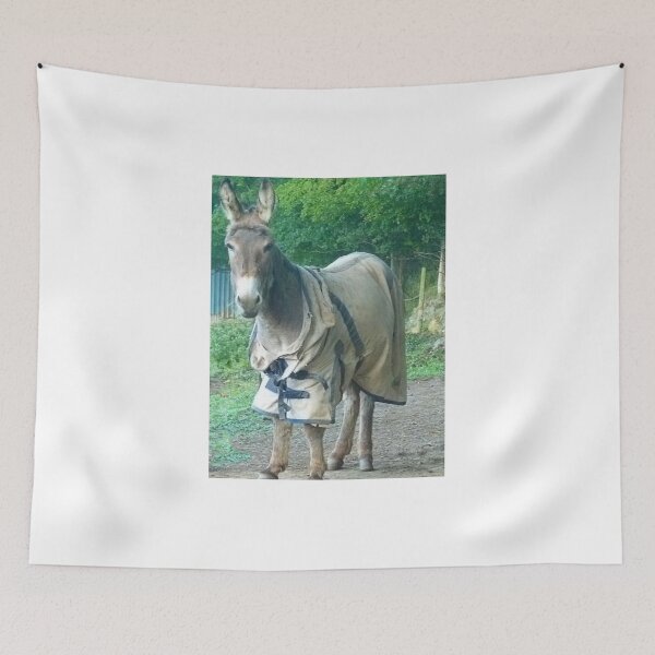 Item preview, Old Softy designed and sold by lynn carter.