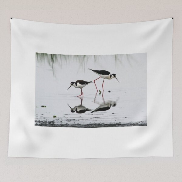 Item preview, Black necked Stilts with reflection(My reflection is better than yours!) designed and sold by Anthony Goldman.