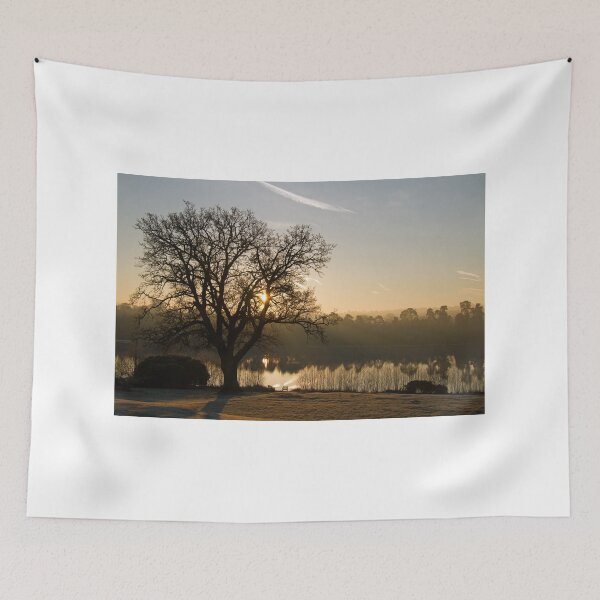 Item preview, Forest Mere Dawn designed and sold by Sue Robinson.