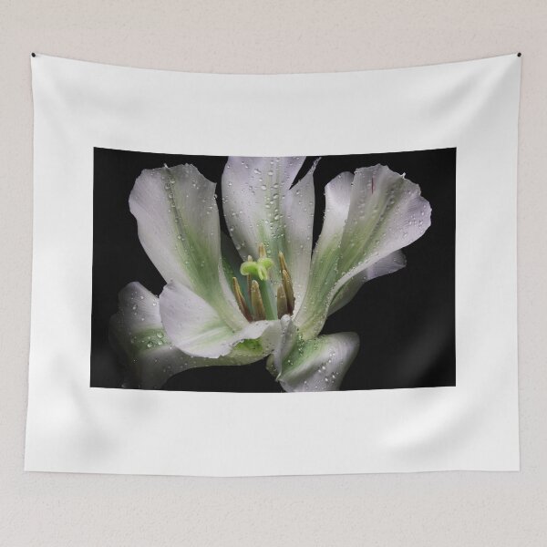 Item preview, One Tulip... designed and sold by EbyArts.